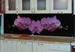 Кухонная панель «Орхидея»